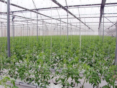 Ứng dụng KHCN gắn với hiệu quả dịch vụ: 'Chìa khoá' nâng cao chất lượng dịch vụ